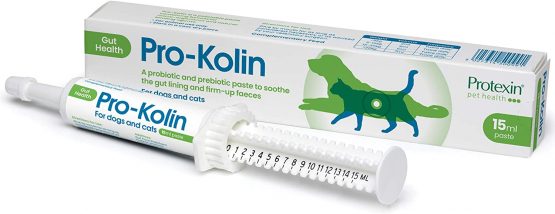 Pro-Kolin for dogs and cats–Probiotic paste to support the gut 15ml + Syringe