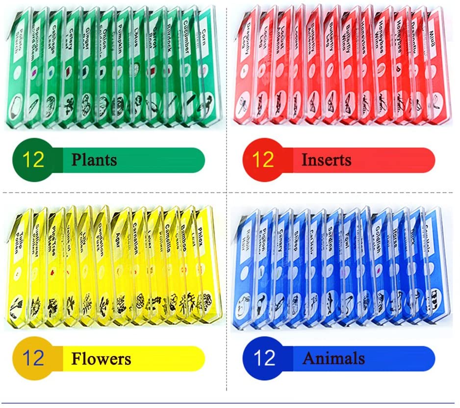 Kids Microscope Prepared Slides - Image 2