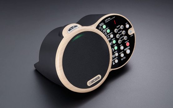 BOSS Dr-01S Rhythm Partner for Acoustic Musicians - Image 3