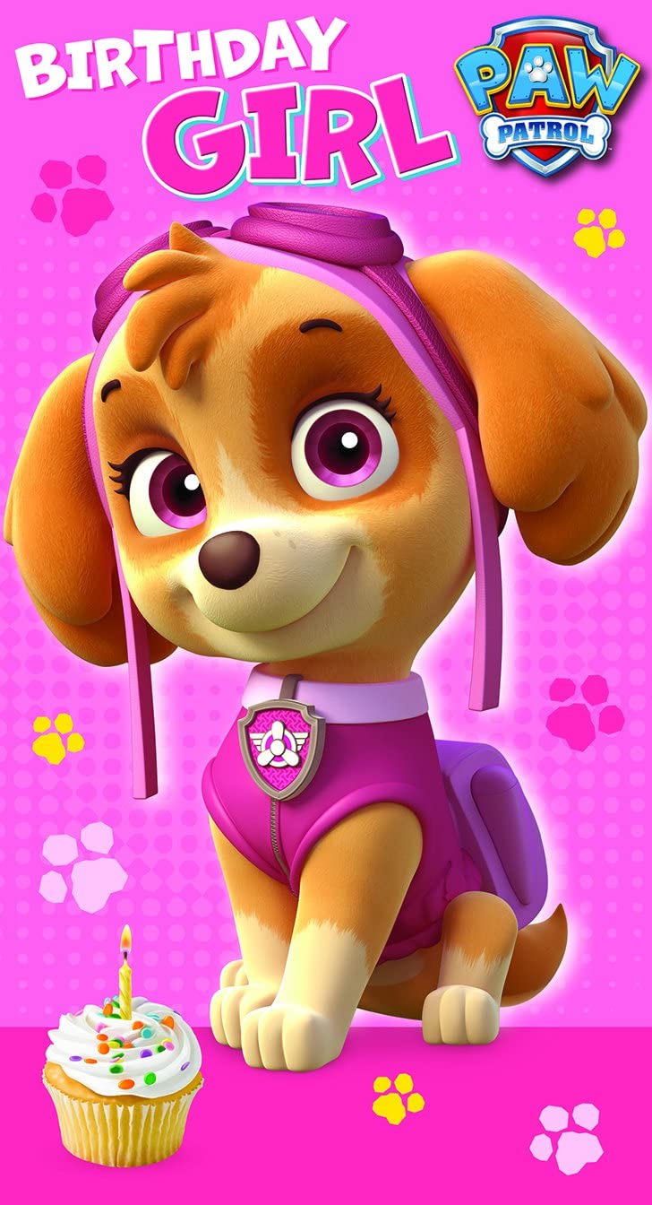 Paw Patrol Birthday Girl Birthday Card, Multi