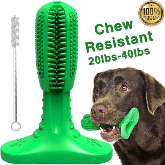 Doeki Dog Toothbrush Stick Dog Teeth Cleaning Massager, Dog Dental