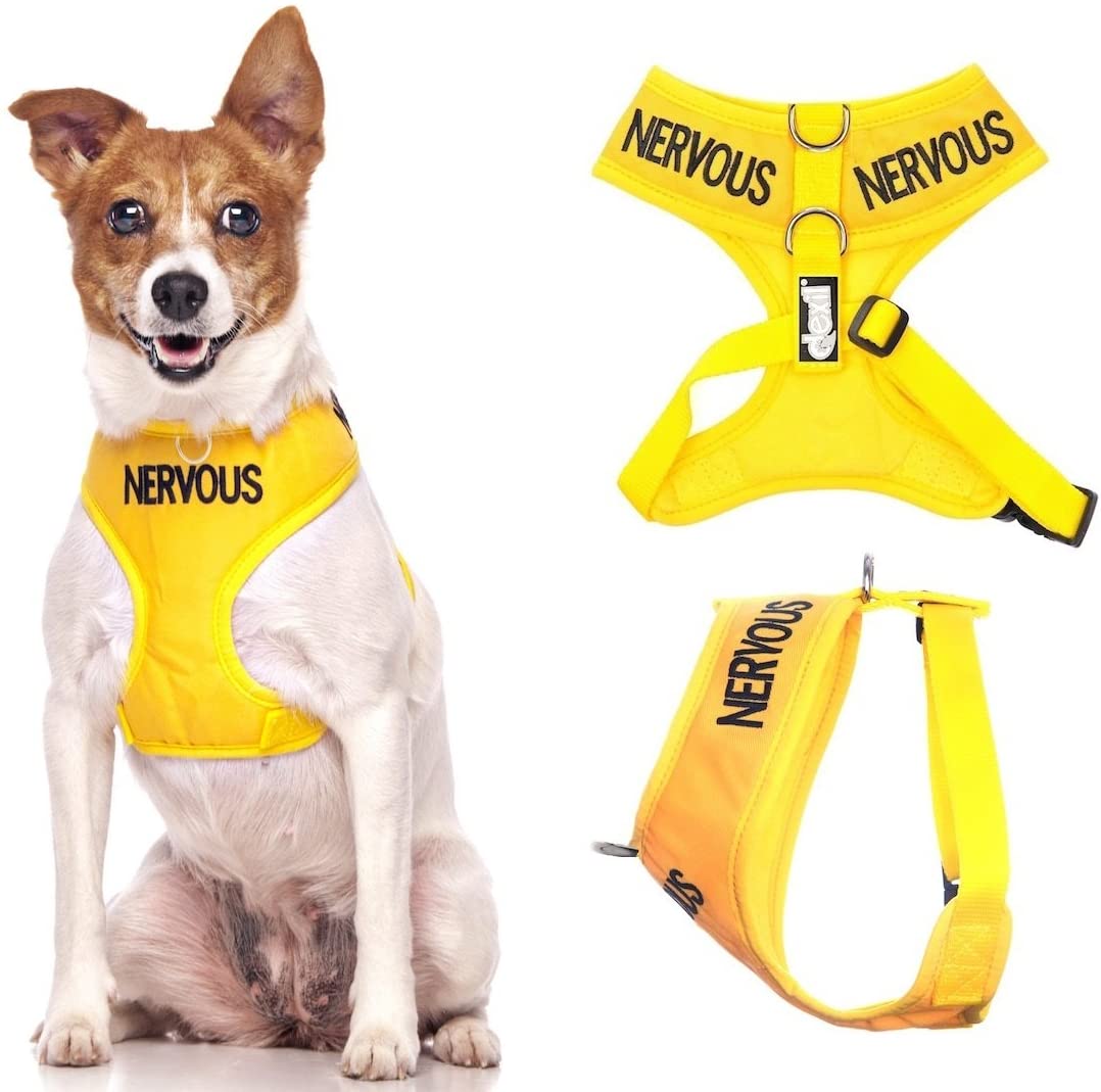 Dexil NERVOUS (Give Me Space) Yellow Colour Coded Non-Pull Front and Back D Ring Padded and Waterproof Vest Dog Harness PREVENTS Accidents By Warning Others Of Your Dog In Advance (S)