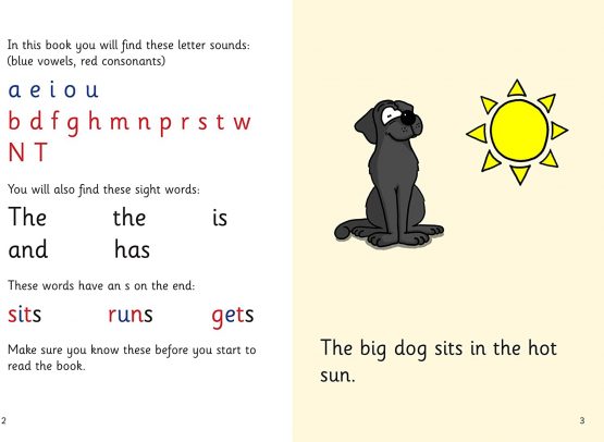 Pack of 5 Phonics Readers Set 2 _ Simple Phonics Books to allow a child to gain confidence at their own pace - Image 2