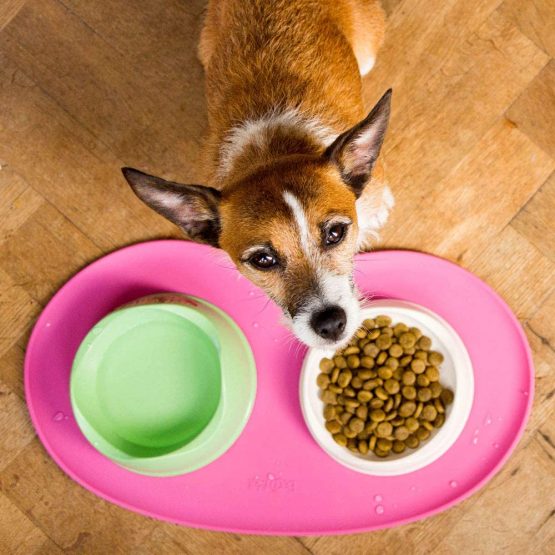 Beco Pets Place Mat, Medium, Pink - Image 4