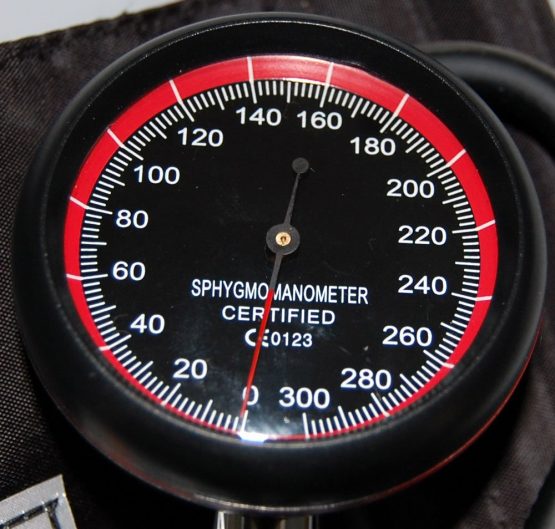 Valuemed Aneroid Palm Sphygmomanometer Clinical Sphyg Adult Cuff Pro CE & FDA Approved - Image 2