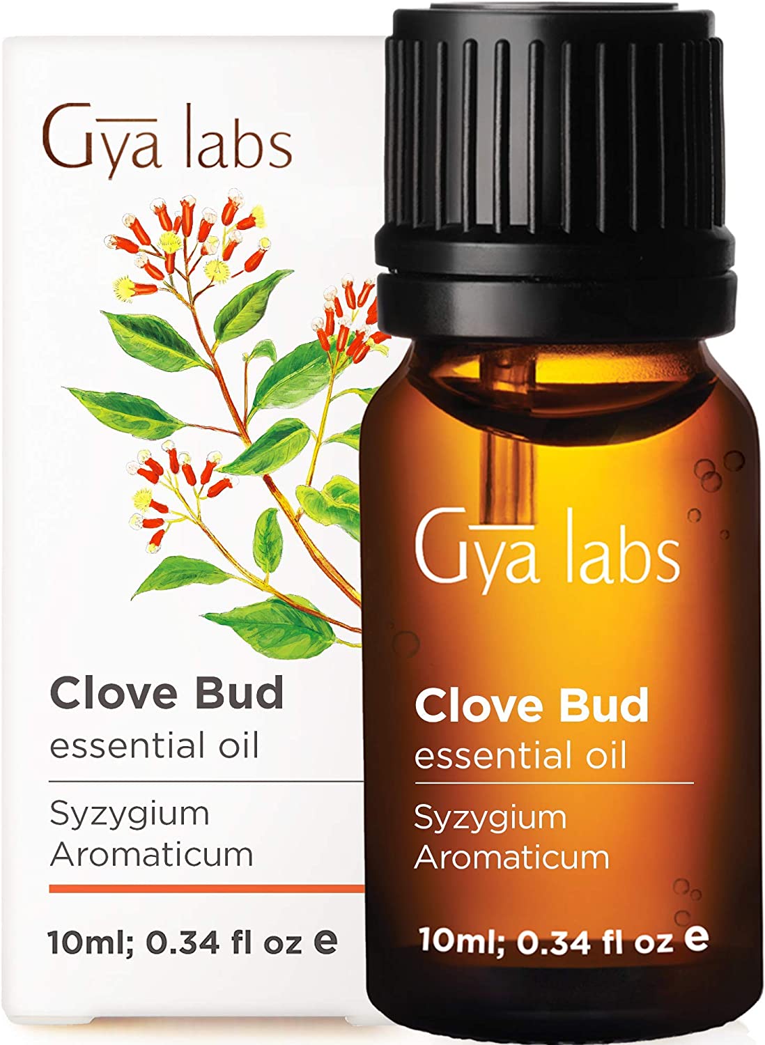 Gya Labs Clove Essential Oil – Pain Reliever for Toothaches & Better