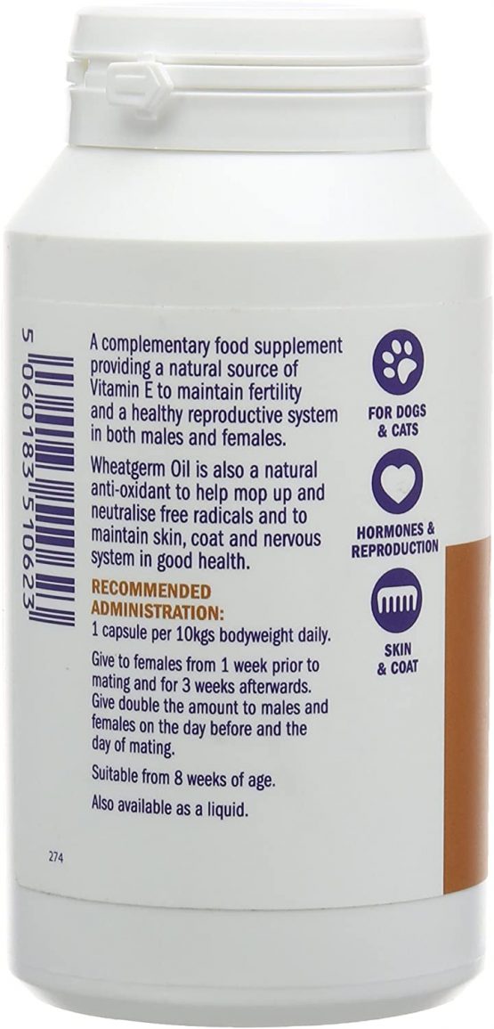 Dorwest Herbs Wheatgerm Oil Capsules for Dogs and Cats 200 Capsules - Image 3