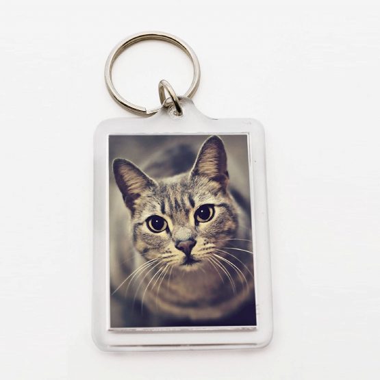 50 Large Blank Photo Keyrings 50 x 35 mm Insert 92033 - Image 3