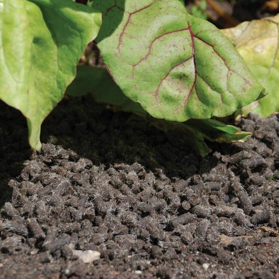 Defenders Slugs Away Wool Pellets (Slug Deterrent, Protect Gardens and Plants), 1 Litre, Grey - Image 3