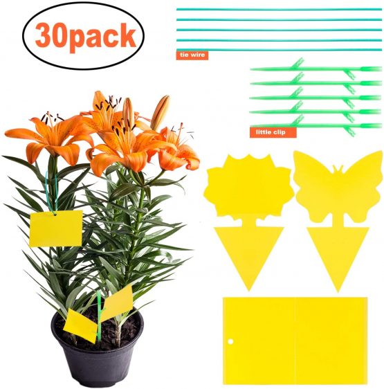 YHmall 30PCS fruit fly traps yellow Fly Paper sticky catcher - Non-Toxic and Eco-Friendly Suit For Multiple Insect