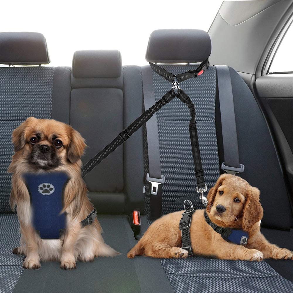 SlowTon Double Dog Seat Belt - Image 2
