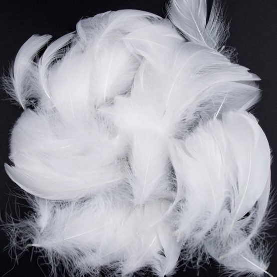 Feather for Crafts,250 Pcs Coloured Feather Striking Feathers for DIY Dream Catchers Natural Crafts Feathers for Wedding/Party/Decorations(3 Sizes) (White) - Image 4