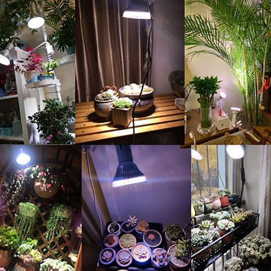 MILYN 54W LED Grow Light Bulb for Indoor Plants, E27 Full Spectrum Plant lamp for Flowering Bloom and Fruiting Hydroponic Growing Greenhouse Plants Succulents White Lighting - Image 2
