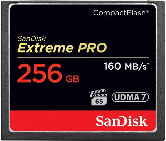 SanDisk Extreme Pro 256 GB 160 MB/s CompactFlash Memory Card - Black/Gold/Red, SDCFXPS-256G-X46