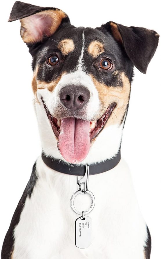 Jovitec 3 Sets Dog Tag Clip Durable Dog ID Tag with Rings for Dogs and Cats Collars Harnesses - Image 4