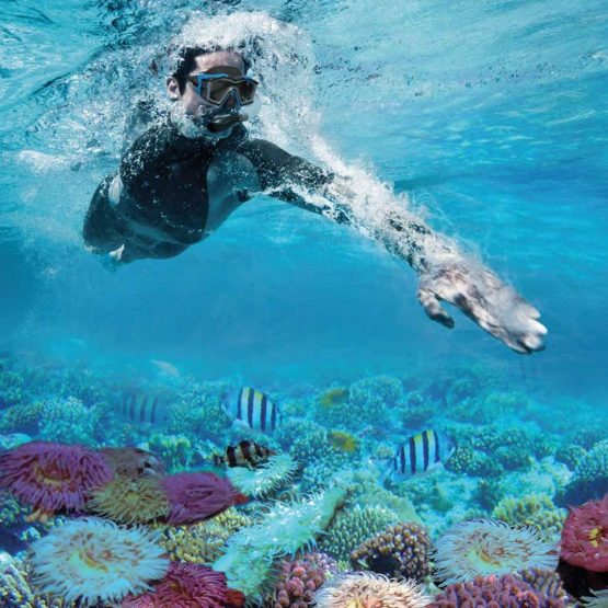 Intex 55658 Wave Rider Snorkel Mask & Flippers Adults Diving Snorkelling Set - Image 4