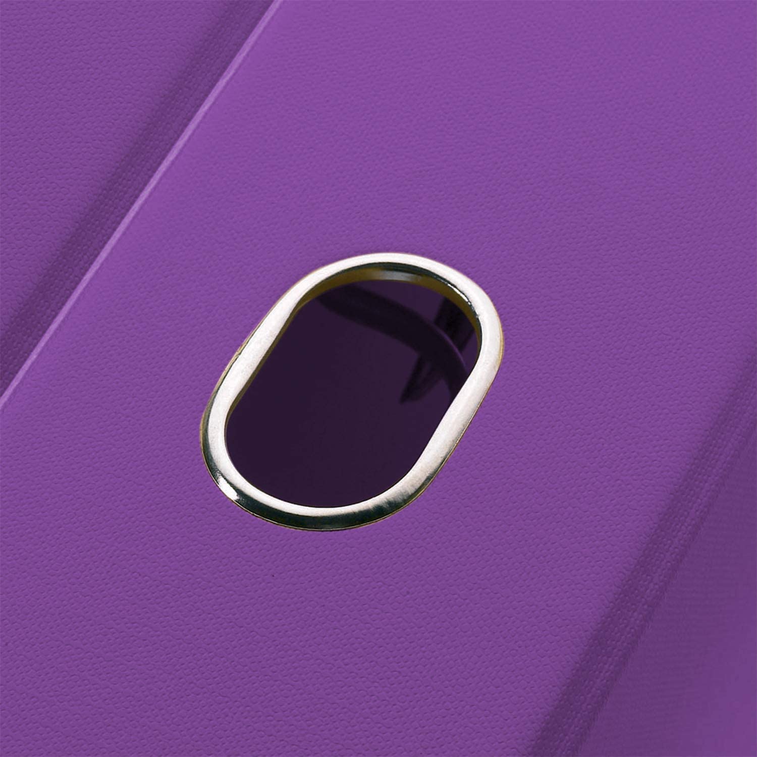 Favorit 100460531 Registratore Unico con Custodia Formato Interno 23X33 Dorso 8 cm, viola, Violet, 28.5x35x9.5 - Image 2
