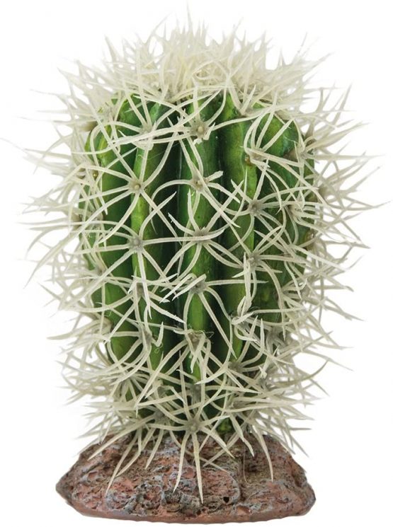 Hobby 37005 Kaktus Great Basin