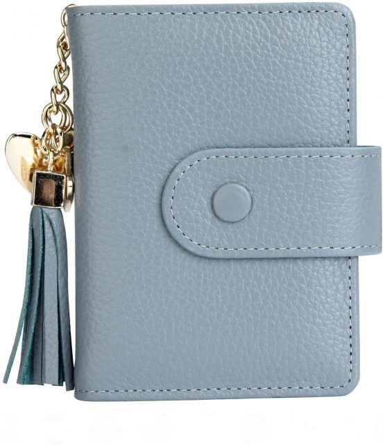 Credit Card Holders Women Ladies Leather Credit Card Wallets Business Credit Card Holder Card Case for Women (Blue)