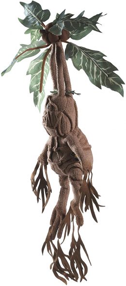 noble collection mandrake