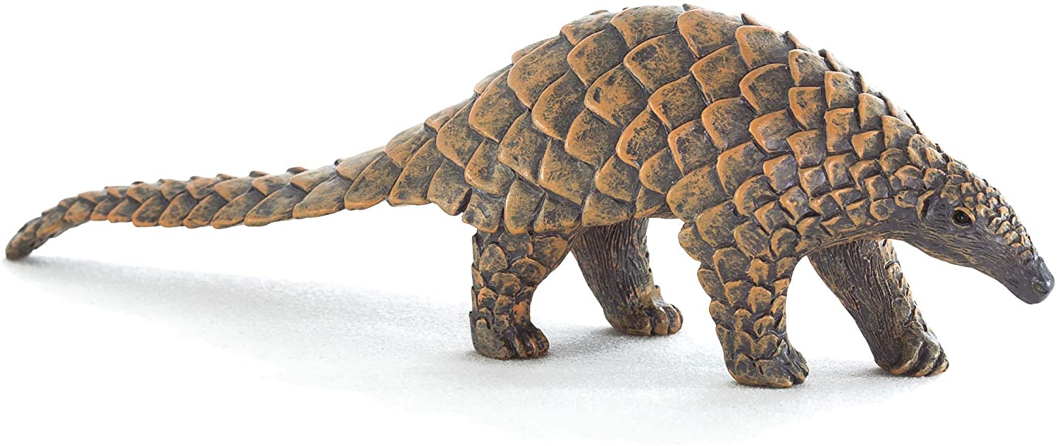 MOJO - Indian Pangolin, Mixed, Medium