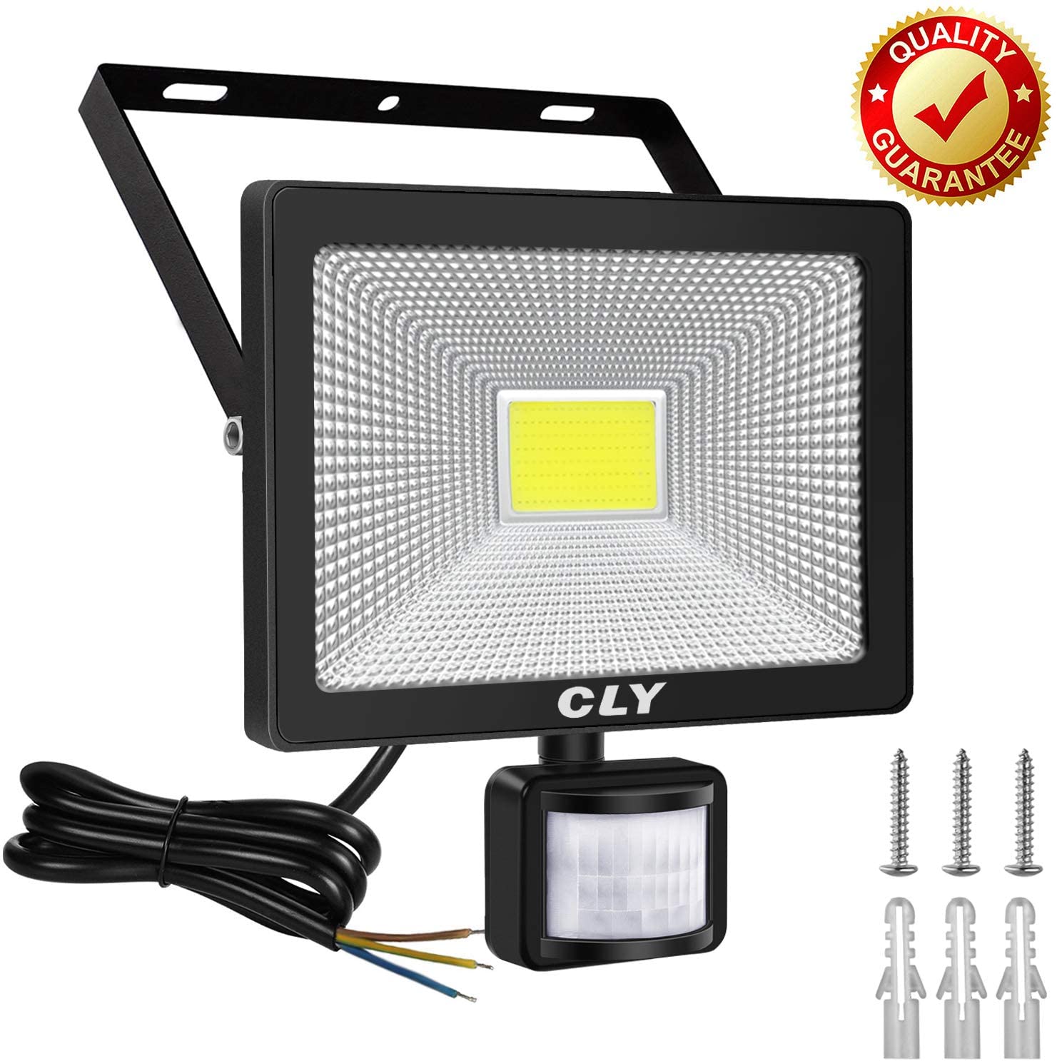 CLY 30W Security Lights, LED Floodlight with Motion Sensor, PIR Sensor ...