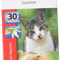 Stomach Calming Tablets, 1 Pack of 30 Pieces