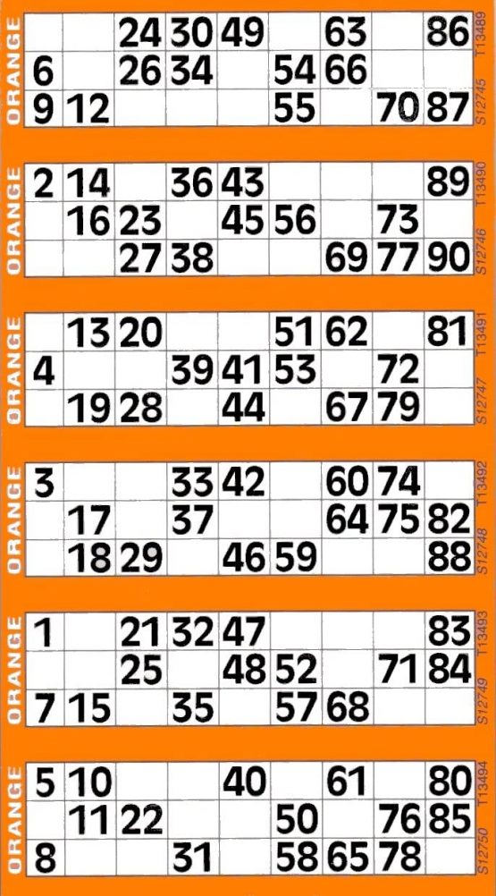 Jumbo Bingo Tickets pads 6 to view (Orange)