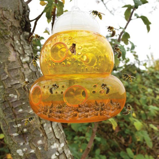 Aspectek Wasp Trap - Wasp Catcher, Bee Trap, Yellow Jacket Traps, Fruit Fly Trap, Hornet Trap, Indoor, Outdoor, Hourglass-Shaped - Image 4