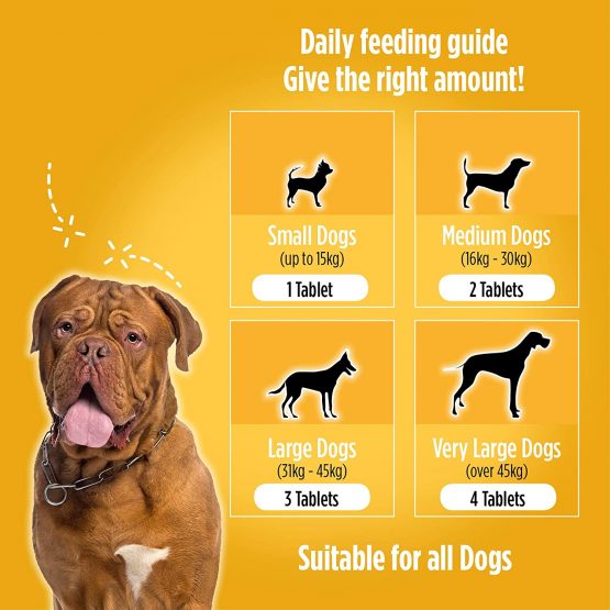 Monbelle Dog Joint & Agility 120 Tablets - Soothes Hip, Lipped Muscle & Joints Supplement for Stiff Dogs & Aids Mobility - Glucosamine & Natural Chondroitin for Dog Joint Care - UK Manufactured - Image 4