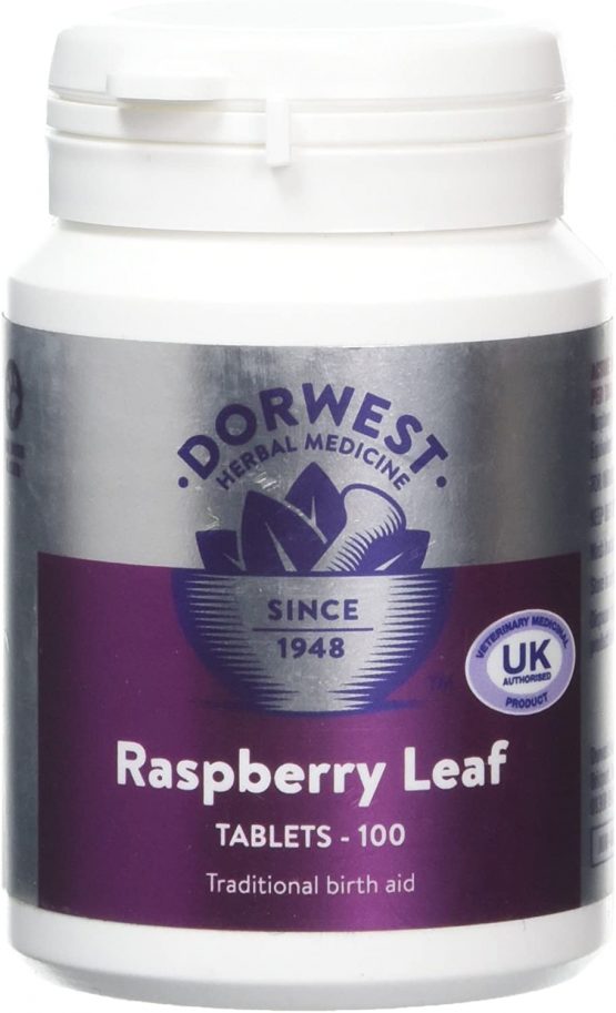 Dorwest Herbs Raspberry Leaf Tablets for Dogs and Cats 100 Tablets
