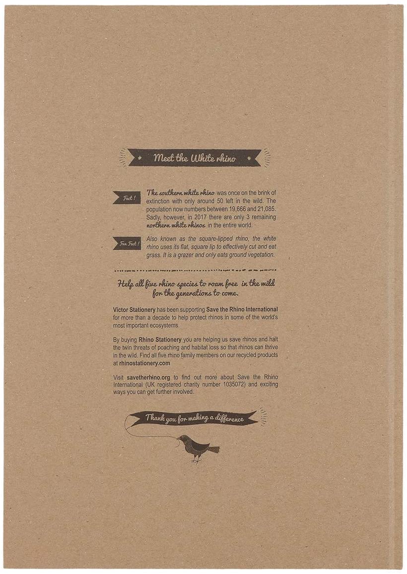 Rhino Stationery A4 Notebook, Beige - Image 3
