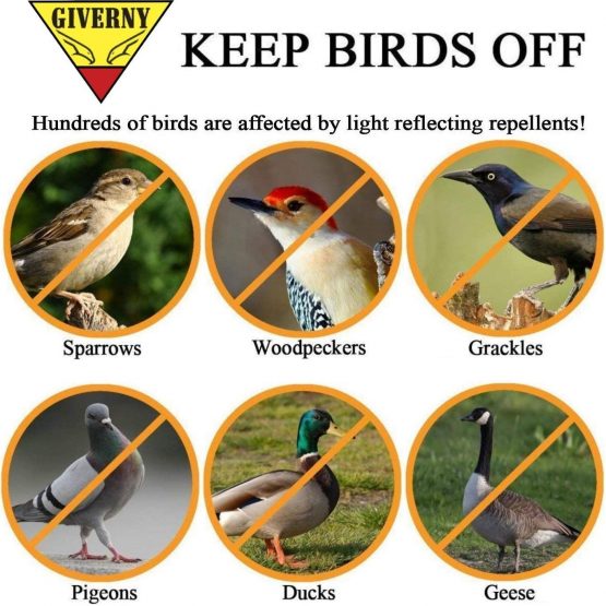 Premium Quality Bird Deterrent Reflective Scare Tape 164 ft Long – Pest Control Dual-sided Repellent Tape for Pigeons, Grackles, Woodpeckers, Geese, Herons, Blackbirds & More – Sturdy & Ultra Strong - Image 4