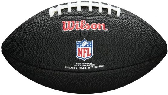 Wilson Sporting Goods NFL Detroit Lions Team Logo Football, Black, Mini Size - Image 3