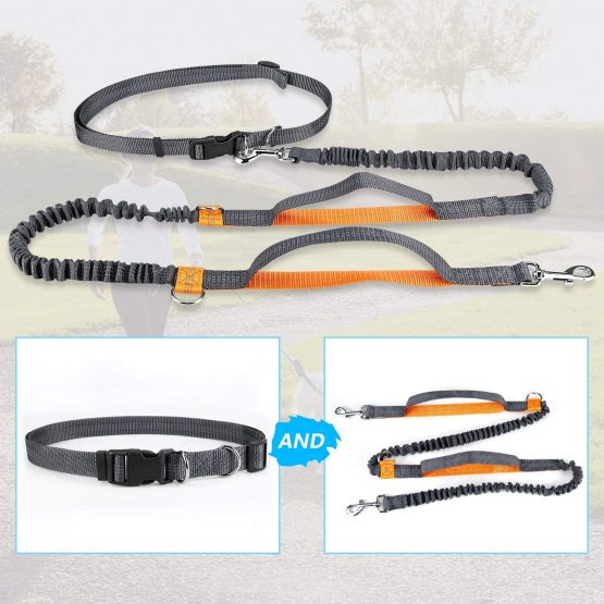 Mystery Hand Free Dog Lead, Dog Walking Belt Ajustable Dog Leash Waist Belt Pet Dog Leash Coupler Running and Jogging Lead Belt with Retractable Bungee, Reflective Stitching for up 110lbs Dogs - Image 4