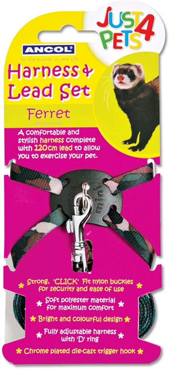 Ancol Ferret Harness and Lead