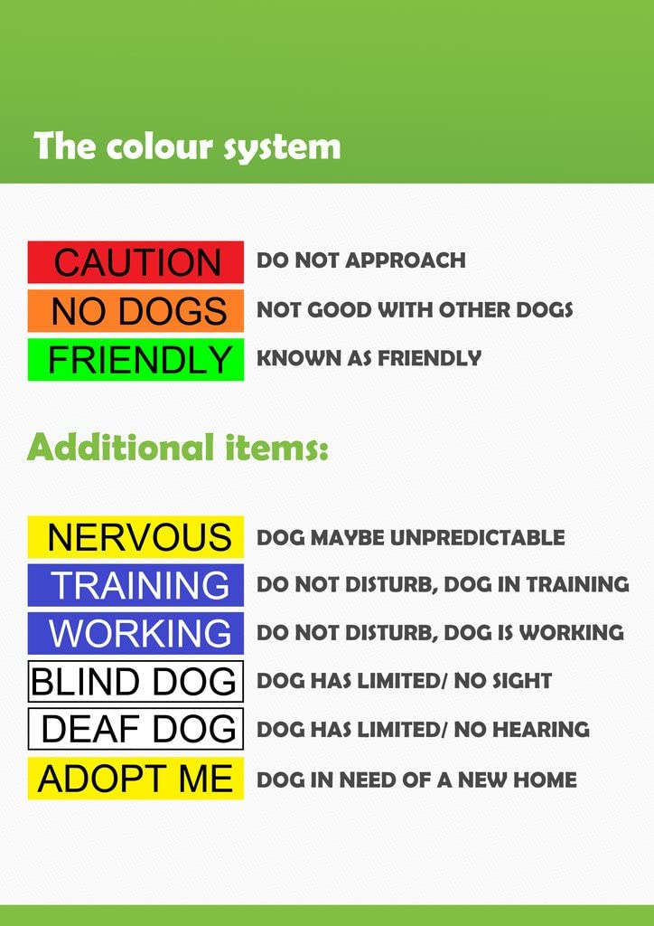 Dexil TRAINING (Dog In Training/Do Not Disturb) Blue Colour Coded 60cm 1.2m 1.8m Luxury Neoprene Padded Handle Dog Leads PREVENTS Accidents By Warning Others Of Your Dog In Advance (1.2m) - Image 3
