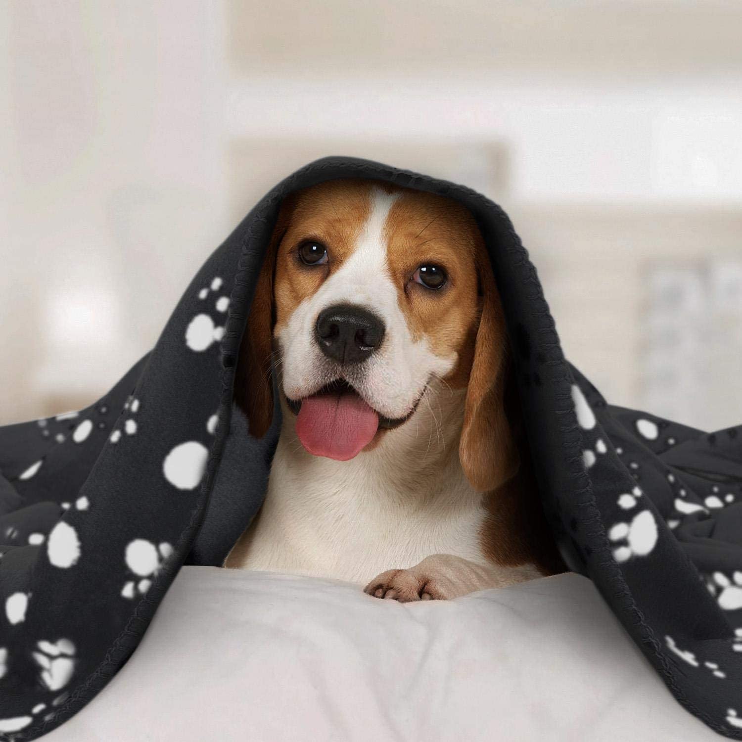 Nobleza - 6 x Dog Blanket Cat Cushion Puppy Kitten Sleep Pad Mat Pet Bed Cover Washable Warm Soft Fluffy Fleece Blankets Black75*75cm - Image 2