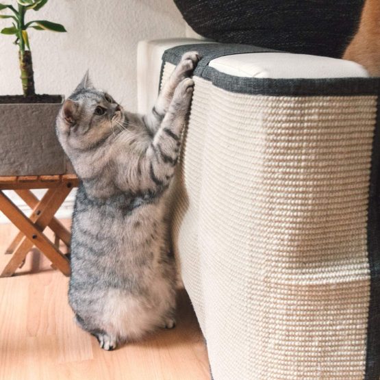 Navaris Cat Scratch Mat Sofa Shield - Natural Sisal Furniture Protector Scratching Pad for Cats - Scratch Carpet for Couch, Sofa, Chair - Right - Image 2