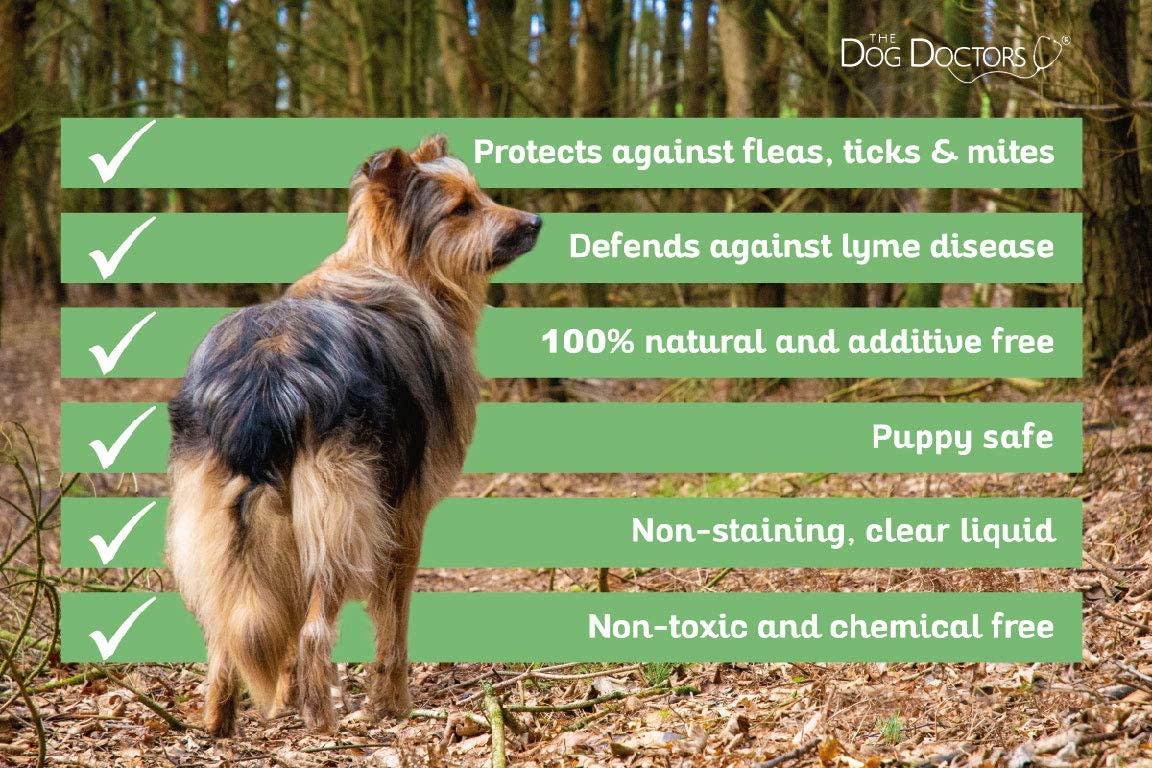 The Dog Doctors Natural Flea, Ticks & Mites Repellant Spray - Image 4