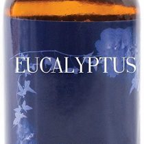 Mystic Moments | Eucalyptus Fragrance Oil - 100ml
