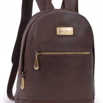 Catwalk Collection Handbags - Antitheft Backpack/Rucksack - Vintage Leather - fits iPad or Tablet - FERN
