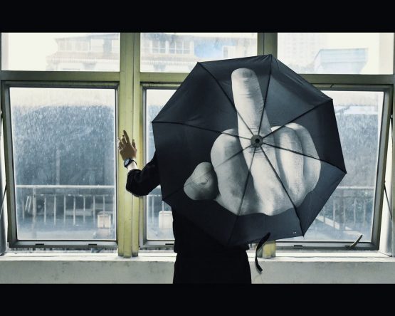 ds. distinctive style Middle Finger Umbrella Funny Folding Umbrella Creative Middle Middle Finger Gifts - Image 4