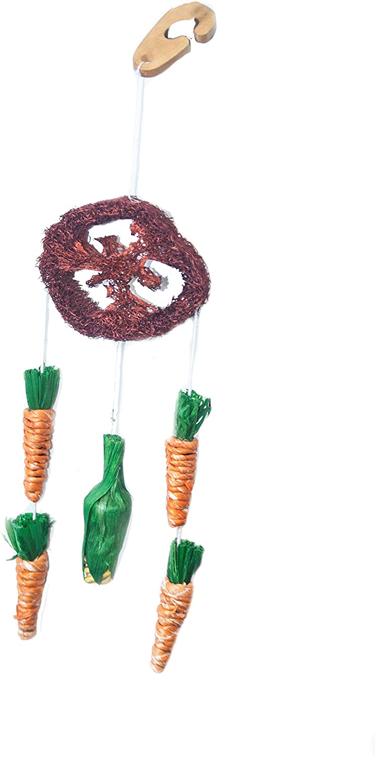 Critters Choice Dream Catcher Hanging Toy