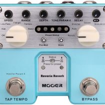 Mooer Pro Reverie Reverb Twin Pedal, MTWINRV2