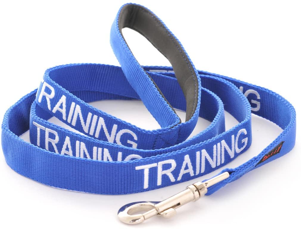 Dexil TRAINING (Dog In Training/Do Not Disturb) Blue Colour Coded 60cm 1.2m 1.8m Luxury Neoprene Padded Handle Dog Leads PREVENTS Accidents By Warning Others Of Your Dog In Advance (1.2m)