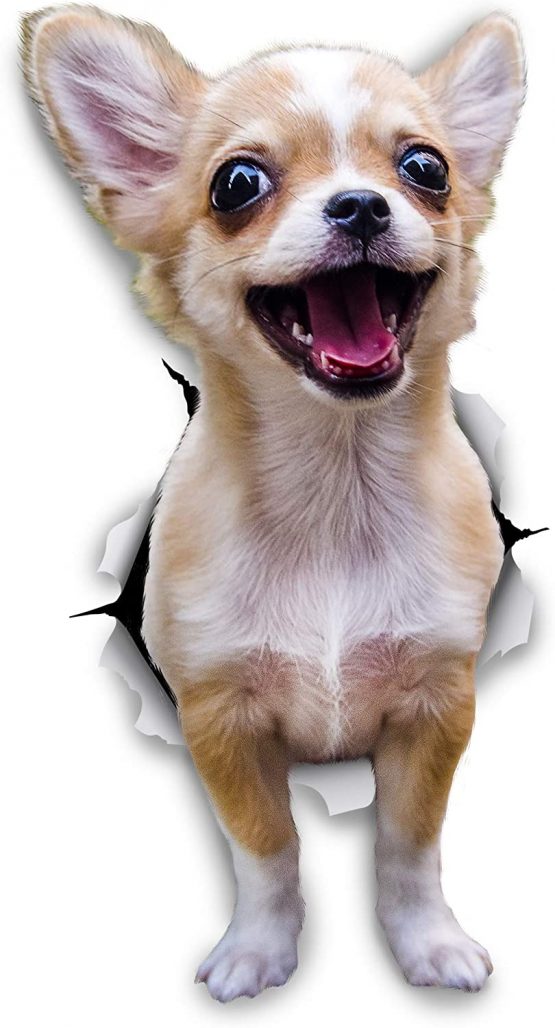 Winston & Bear 3D Dog Stickers - 2 Pack - Excited Chihuahua For Wall, Fridge, Toilet And More Excited Chihuahua Dog Stickers