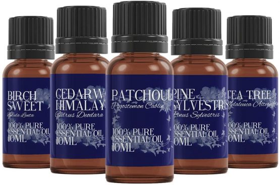 Mystic Moments | Essential Oil Starter Pack - Woodland Oils - 5 x 10ml - 100% Pure - Image 2