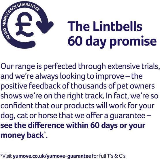 Lintbells | YuDERM Dog Boost Formerly YuMEGA | Nutritional Boost Supplement for Dogs Coat, Skin and Nails, All Ages and Breeds | 91 g Tub - Image 4
