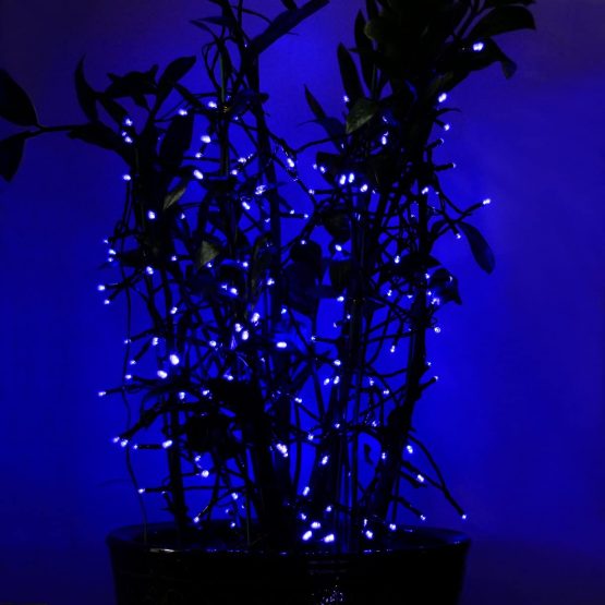 Tuokay, Solar Garden Lights, Outdoor Fairy Lights, Waterproof 72ft 22m 200 LED 8 Twinkling Modes, Decorative Lighting String Lights for Home, Gazebo, Patio, Lawn, Wedding Ornament (Blue) - Image 4